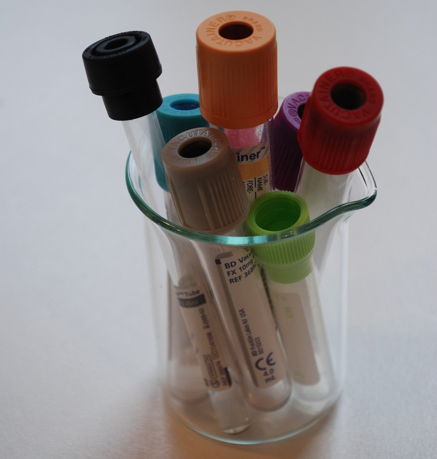 lab-313870_1280.jpg